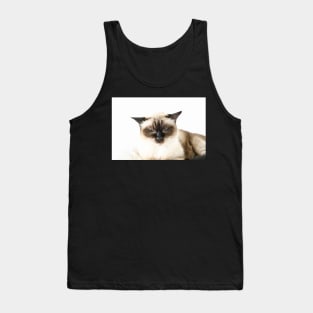 Katze Siam / Swiss Artwork Photography Tank Top